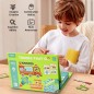 Coffret Magnétique 2-en-1 : Transport Coffret Magnétique 2-en-1 : Transport