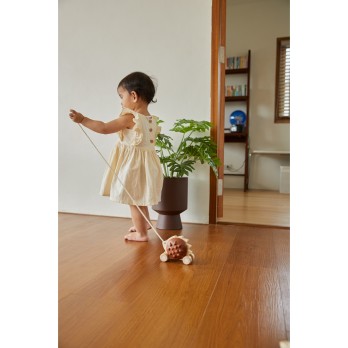 Jouet à Tirer - Hérisson