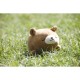 nemu nemu Plush - COOKIE - Brown Bear - Size S - 12 cm 