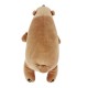 nemu nemu Plush - COOKIE - Brown Bear - Size L - 53 cm 