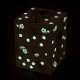Photoluminescent Musical Box Fairy Cherry - Flower Fairies© - Glow in dark