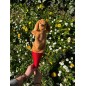 Marotte - Chien Marotte - Chien