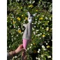 Marotte - Ane Marotte - Ane