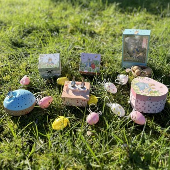 BAM cube - Peter Rabbit© - Carotte