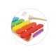 Xylophone Ovale