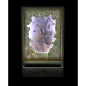 Grand Dancing Musical - Peter Rabbit© - Jardin Grand Dancing Musical - Peter Rabbit© - Jardin