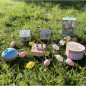 Grand Dancing Musical - Peter Rabbit© - Fraises Grand Dancing Musical - Peter Rabbit© - Fraises