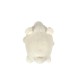 nemu nemu Plush - SHIRO - The Polar Bear - Size S - 13 cm 