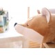 nemu nemu Plush - KOTAROU - The Fox - Size L - 52 cm 