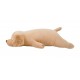 Peluche nemu nemu - SORA - Chien Golden Retriever - Taille L - 56 cm 