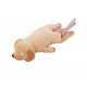 Peluche nemu nemu - SORA - Chien Golden Retriever - Taille L - 56 cm 