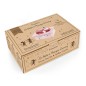 Dancing - Ballerine - Rose Dancing - Ballerine - Rose