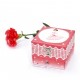 Photoluminescent Musical Cube Box Ballerina - Dark Pink - Glow in dark