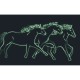 Photoluminescent Musical Jewelry Box Horses Camargue© - Glow in dark