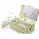 Photoluminescent Musical Jewelry Box Fairy Strawberry - Flower Fairies© - Glow in dark