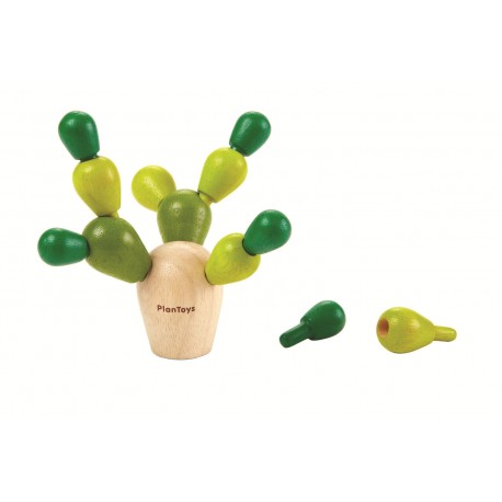 Mini mikado cactus