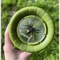 Méga Boîte Loupe Méga Boîte Loupe