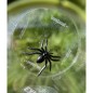 Méga Boîte Loupe Méga Boîte Loupe