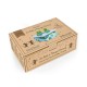 Dancing Music Box Frog