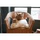 nemu nemu Plush - COOKIE - Brown Bear - Size S - 12 cm 