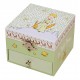 Coffret Musique Cube Phosphorescent Le Petit Prince - Jardin