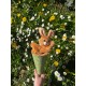 Marotte Lapin - Fabriqué en Europe 