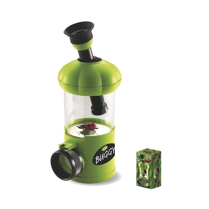 Boîte Loupe - Buggy Boîte Loupe - Buggy