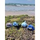 nemu nemu Plush - FLIP - Dolphin - Size S - 11 cm 