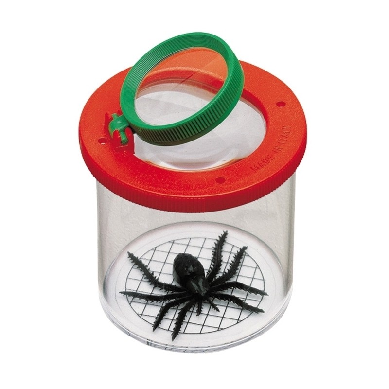 Boite loupe insectes