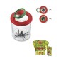 Boite loupe insectes