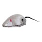 Mécanique à Clé - Métal - Souris Mécanique à Clé - Métal - Souris