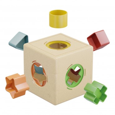 Cube multiformes 11 pièces - PLAYBIO