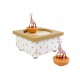 Dancing Music Box Sophie The Giraffe© Caramel