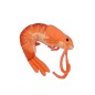 Peluche BARBEC - Porte-clés Magnet  8 cm - Crevette Peluche BARBEC - Porte-clés Magnet  8 cm - Crevette