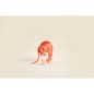Peluche BARBEC - Porte-clés Magnet  8 cm - Crevette Peluche BARBEC - Porte-clés Magnet  8 cm - Crevette