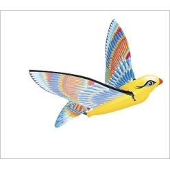 Oiseau TIM mécanique