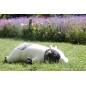 Peluche NEMU Taille L - Vache - Molly Peluche NEMU Taille L - Vache - Molly