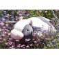 Peluche NEMU Taille L - Vache - Molly Peluche NEMU Taille L - Vache - Molly