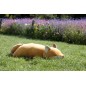 Peluche NEMU Taille L - Renard - Konta Peluche NEMU Taille L - Renard - Konta