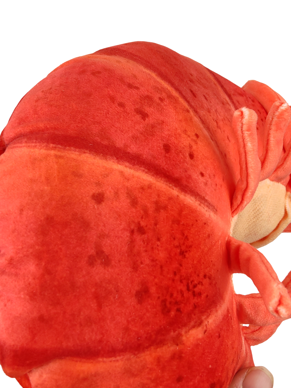 Triple fonctions : peluche , porte-clés et magnet (à accrocher sur votre frigo ou tout support métallique)
Tire sur sa tête 