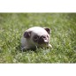 Peluche NEMU Taille S - Porte-clés - Bulldog - Hana Peluche NEMU Taille S - Porte-clés - Bulldog - Hana