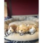 Peluche NEMU Taille S - Porte-clés - Chien Beagle - Vick Peluche NEMU Taille S - Porte-clés - Chien Beagle - Vick