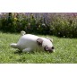 Peluche NEMU Taille M - Bulldog - Hana Peluche NEMU Taille M - Bulldog - Hana