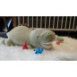 Peluche NEMU Taille L  - Dinosaure - Tirano Peluche NEMU Taille L  - Dinosaure - Tirano