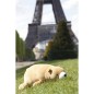 Peluche NEMU Taille L - Ours Brun - Cookie Peluche NEMU Taille L - Ours Brun - Cookie