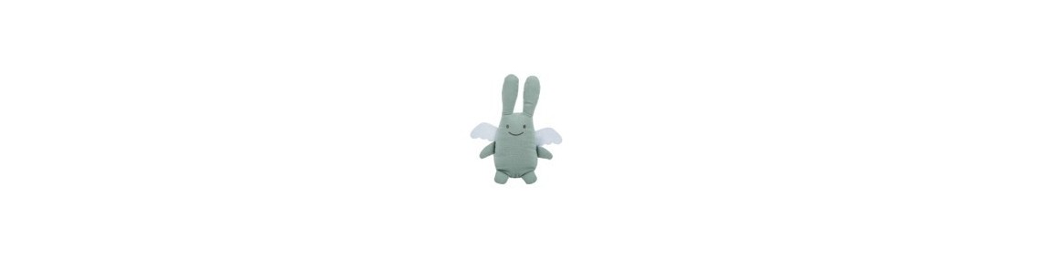 Ange Lapin
